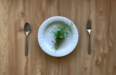 木目のテーブルの上にある白いお皿に、少量のスプラウト（芽野菜）だけが盛り付けられた様子。極端な食事制限や無理なダイエットを象徴するイメージ。